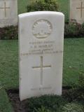 image of grave number 265334